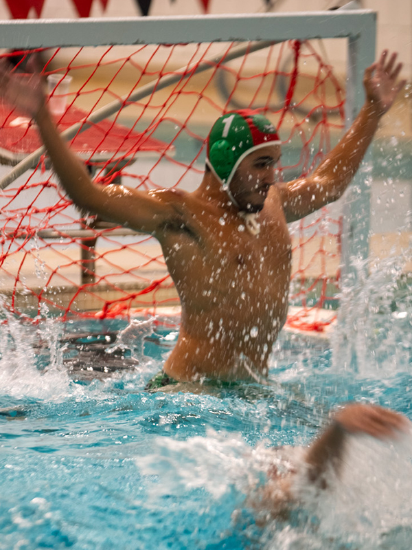 Goncalo Silva, Salem
